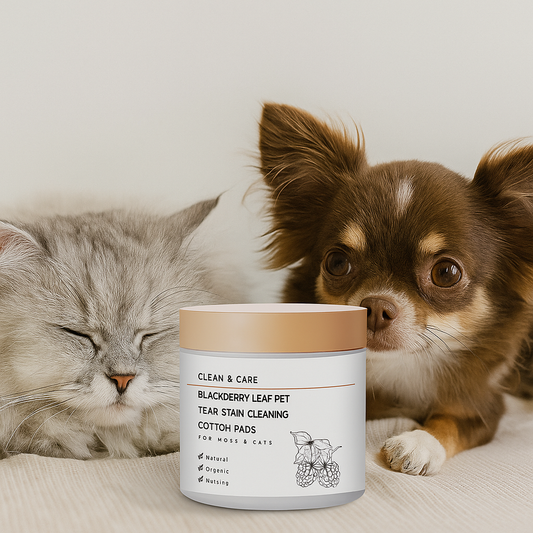 Pet Eye Wipes for Clean and Bright Eyes