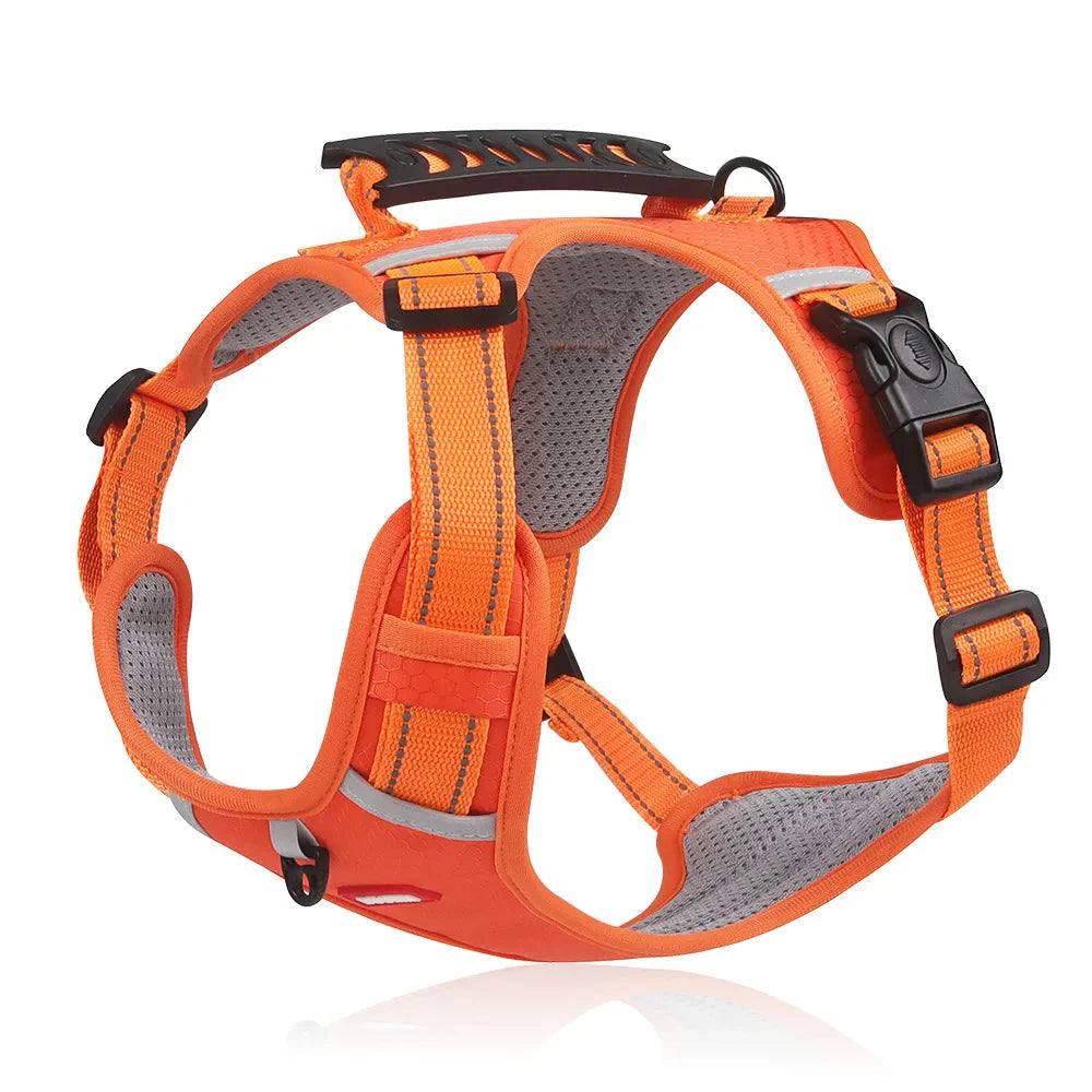 NoPull Dog Harness – WalkEase