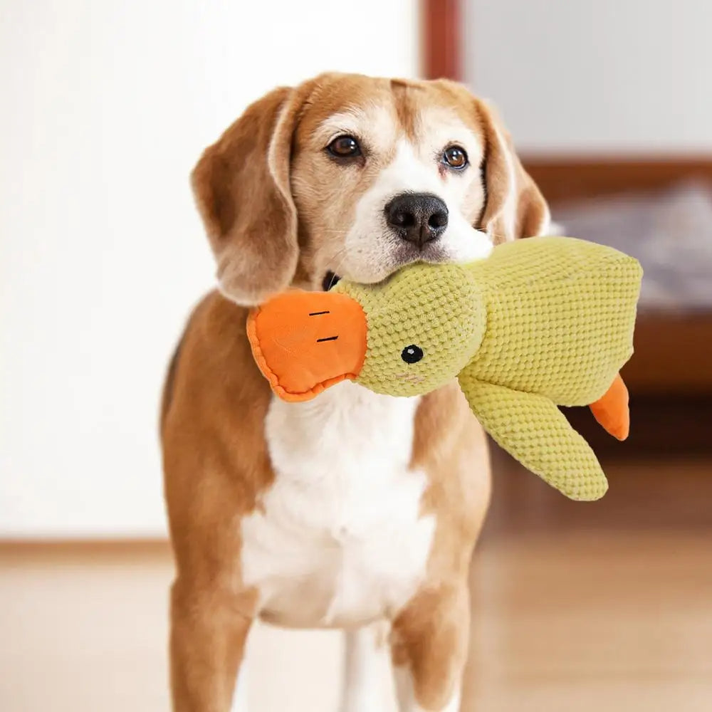 DuckBuddy Plush Dog Toy pets dreams