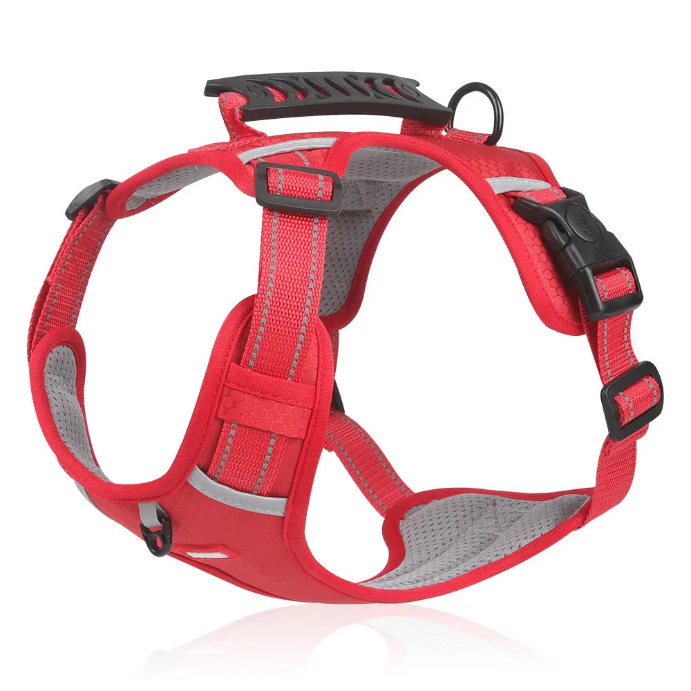 NoPull Dog Harness – WalkEase