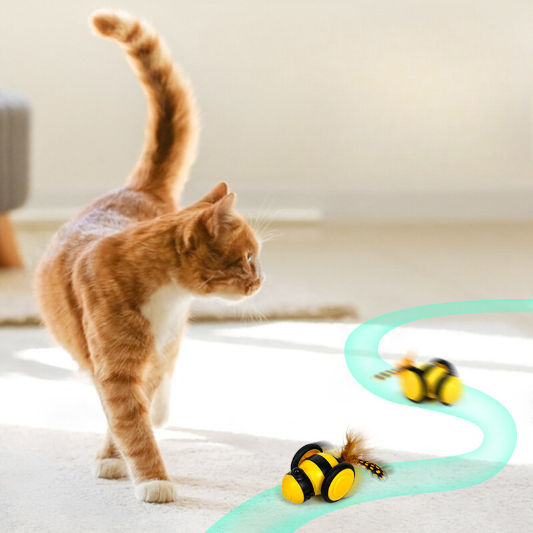 Interactive Bee Cat Toy with Feathers