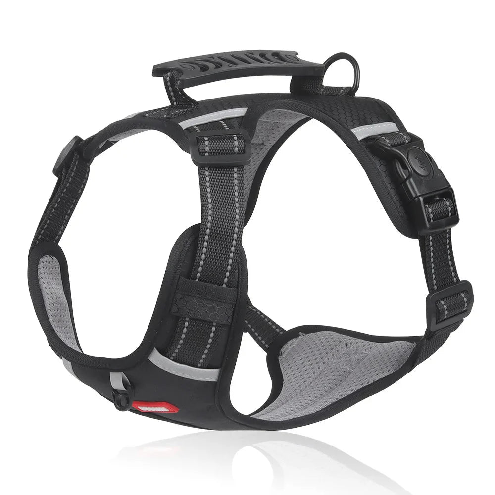 NoPull Dog Harness – WalkEase