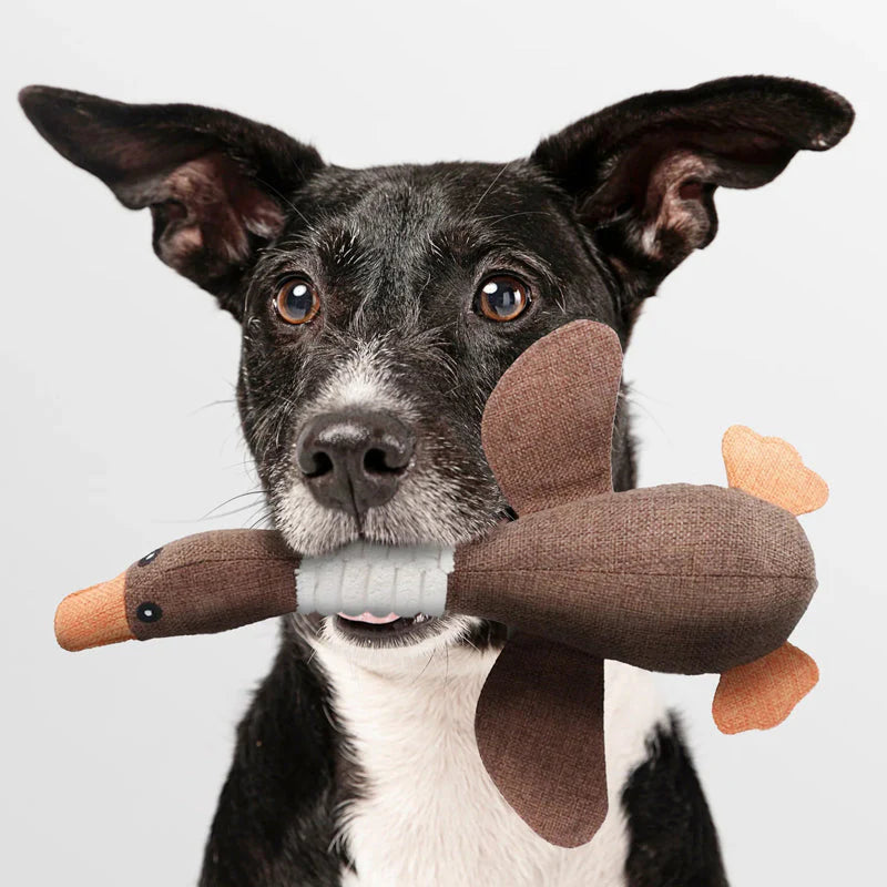 Indestructible Dog Toy (1+1 FREE) – StarkGans