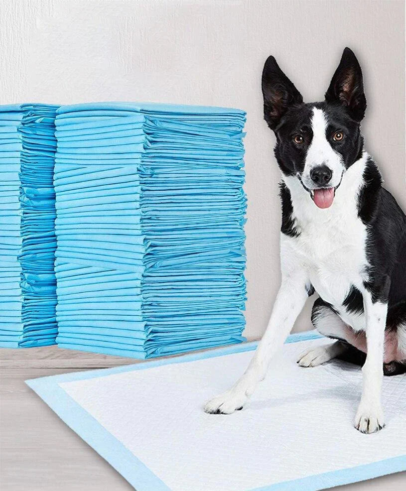 Pet Training Pads - DryPaws Mats