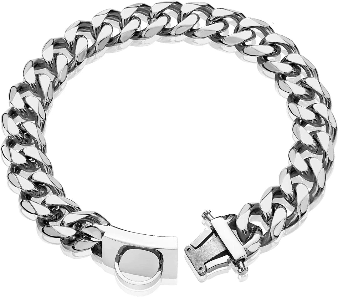 Titanium Steel Dog Collar