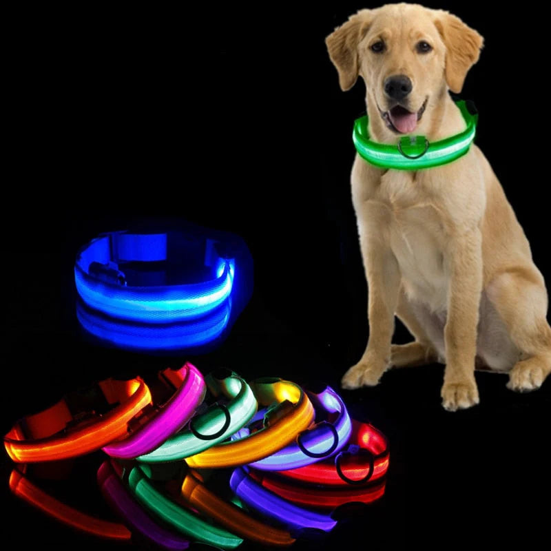 GlowCollar LED – BrightPaws