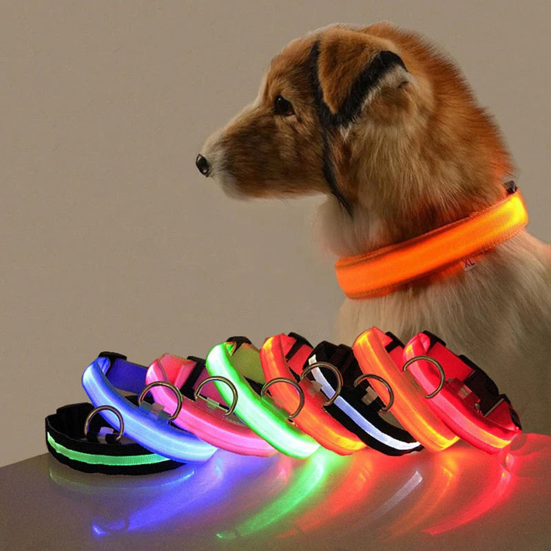 GlowCollar LED – BrightPaws