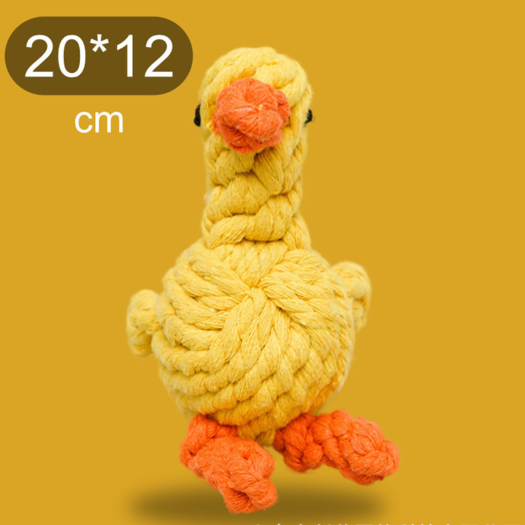 Carrot Cotton Rope Toy for Pets