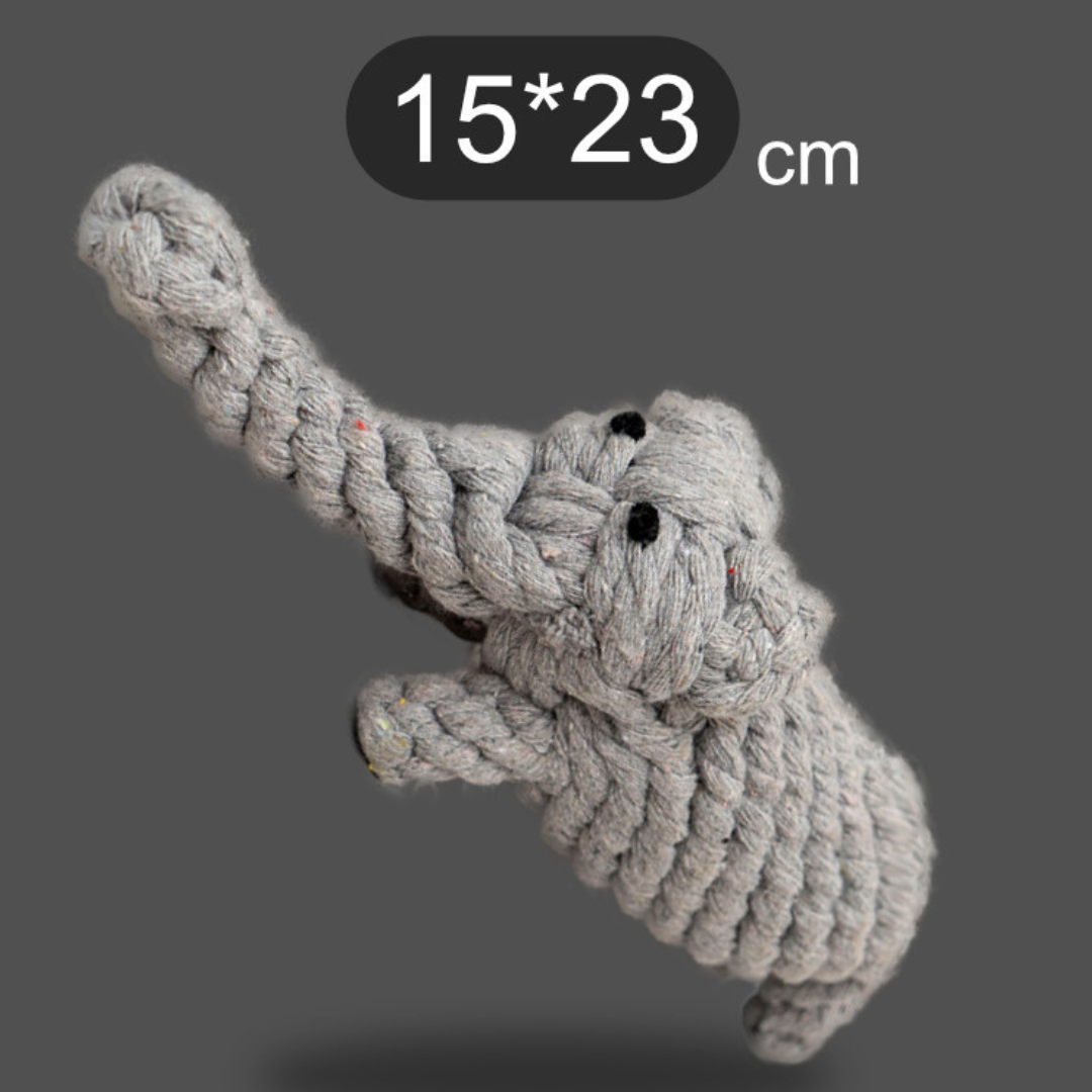 Carrot Cotton Rope Toy for Pets