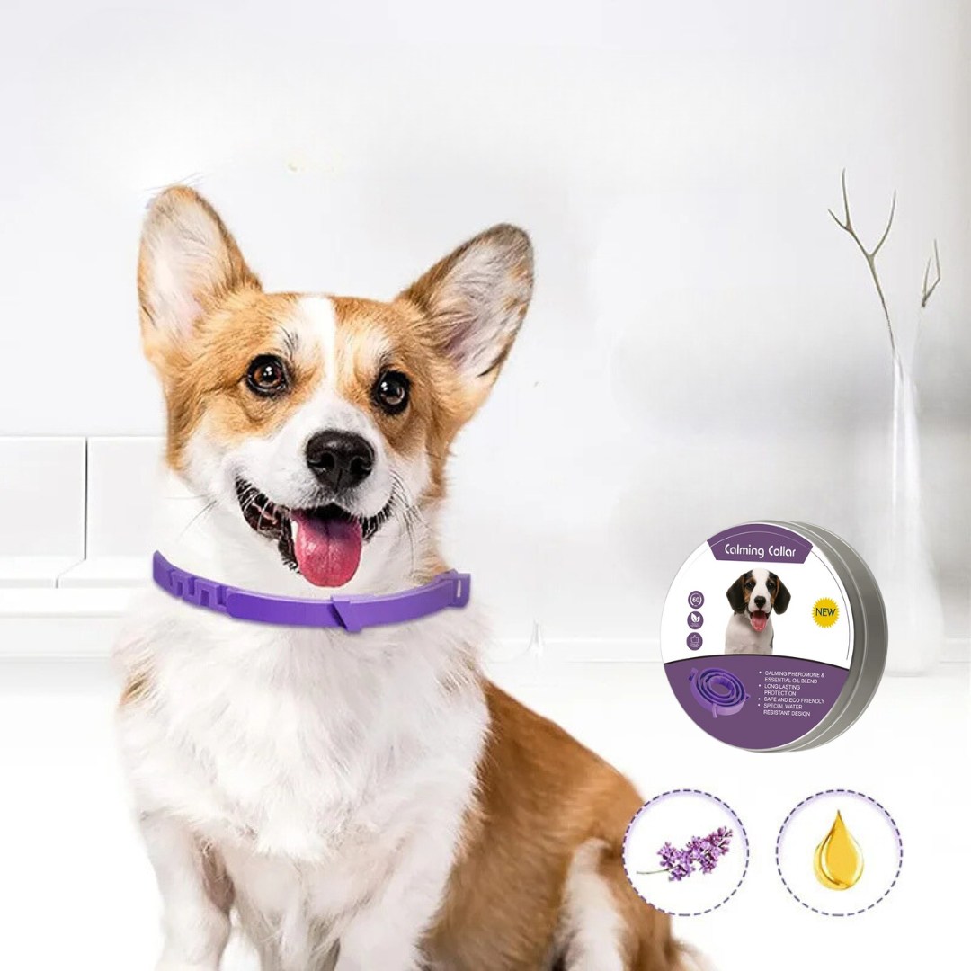 Pheromone Calming Collar for Dogs and Cats pets dreams
