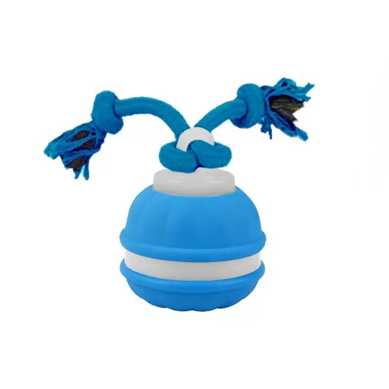 Durable Dog Play Ball with Motion Sensor and Tug Rope in Dog-Friendly Colours