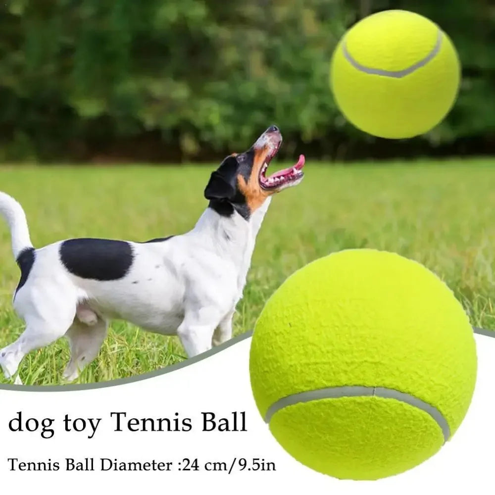 Giant Tennis Ball For Dogs