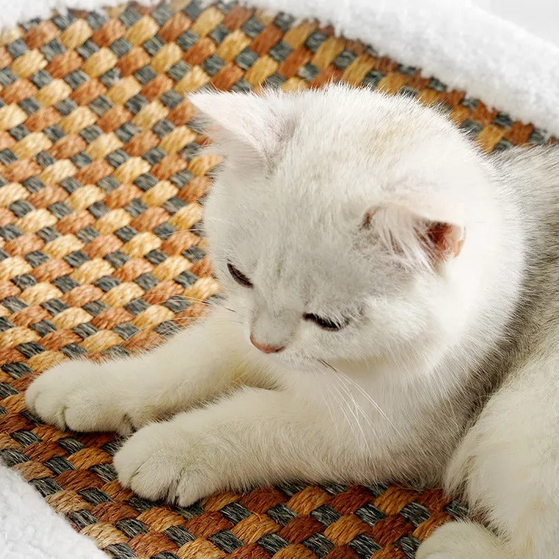 Luxury Scratch - Cat Bed
