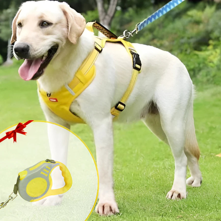 NoPull Dog Harness – WalkEase