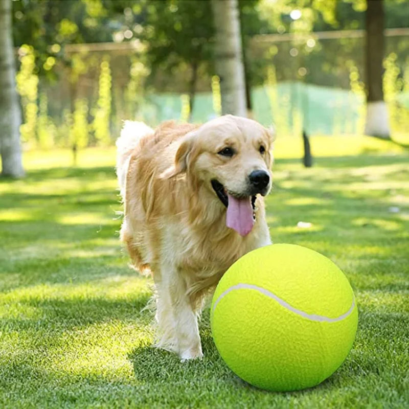 Giant Tennis Ball For Dogs