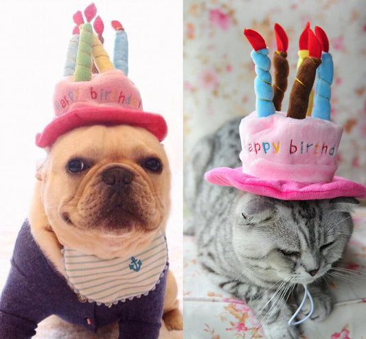 Pet Birthday Hat – PartyPaws