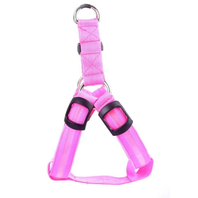 GlowSafe LED Dog Harness