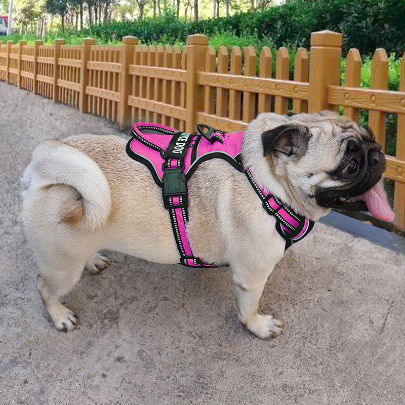 Julius k9 harness pug best sale