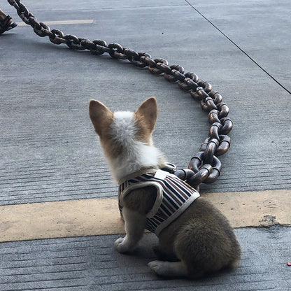 ChainWalk Leash