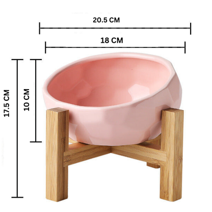 Ergonomic Elevated Pet Food Bowl