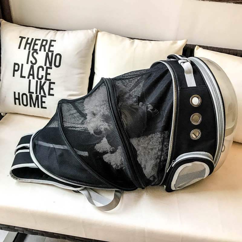 Foldable Cat/Dog Backpack