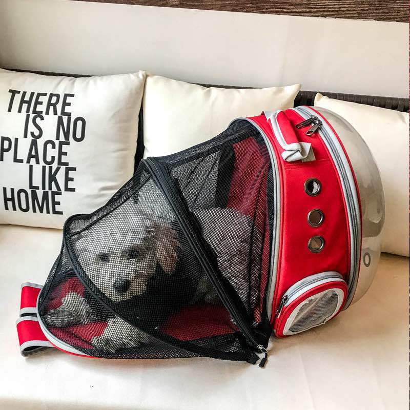 Foldable Cat/Dog Backpack