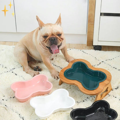 Elevated Ceramic Dog Bowl with Wooden Stand – Paws & Feast