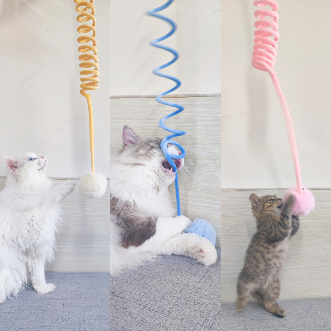 Elastic Toy Example Interactive cat elastic toy – pets-dreams.uk