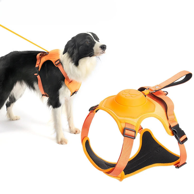 Comfortable harness with anti-pull lead