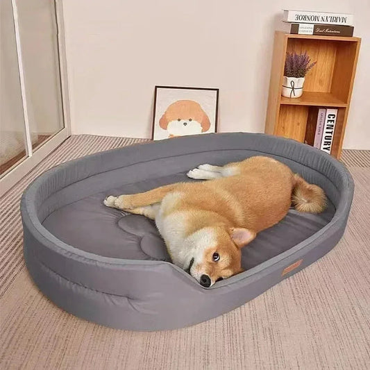 Orthopedic Dog Bed