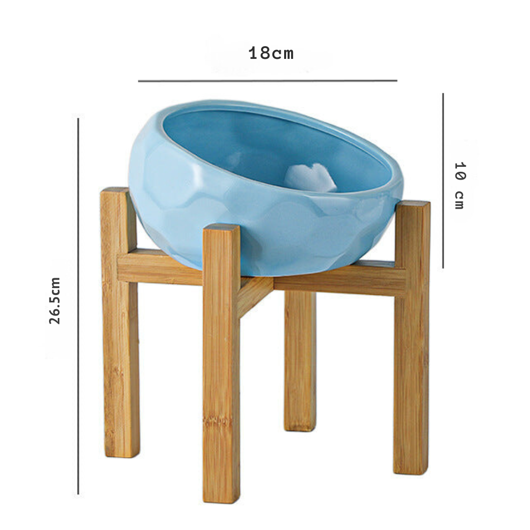 Ergonomic Elevated Pet Food Bowl