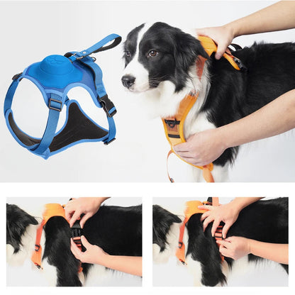 Comfortable harness with anti-pull lead