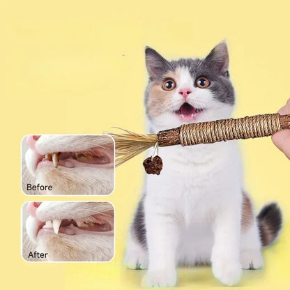 Cat Dental Cleaning Sticks