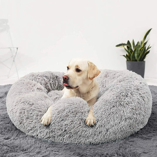 Premium Dog Bed