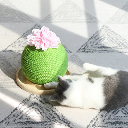 Cat Scratch Cactus with Integrated Toy