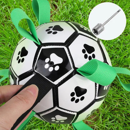 Dog Ball Toy with Integrated Pull Ropes