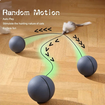 Cat turbo ball with tail toy