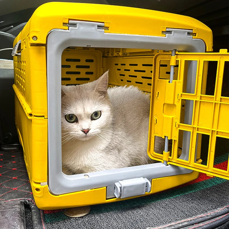 Foldable Pet Transport Box