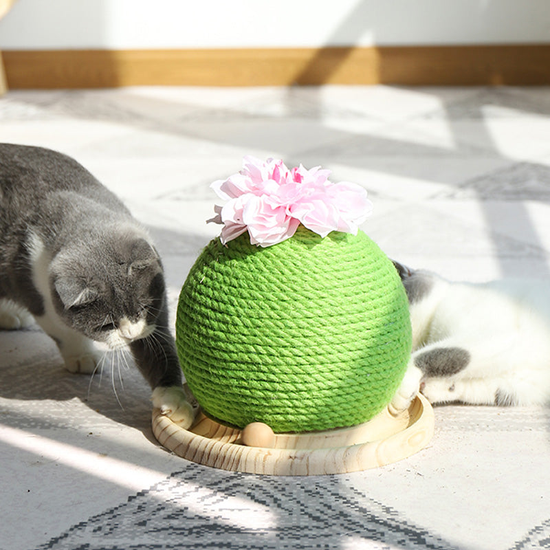 Cat Scratch Cactus with Integrated Toy