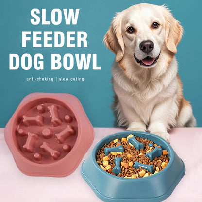 Slow Eating Feeding Station for Dogs