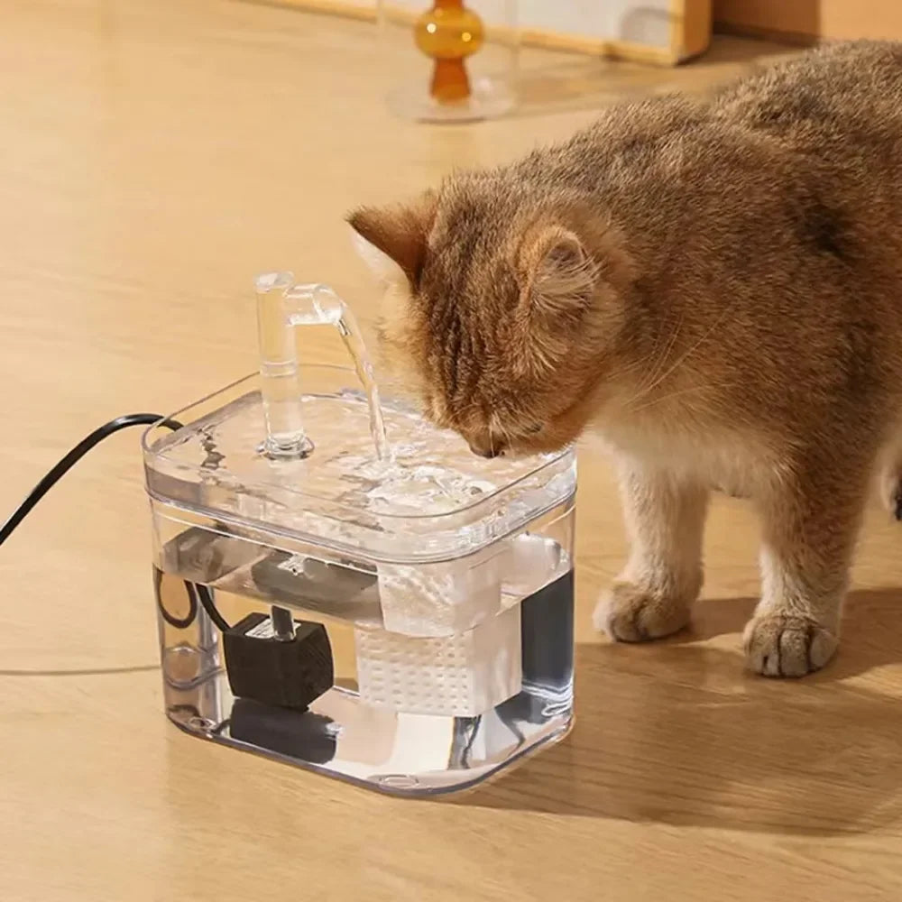 Pet Water Dispenser for Clean and Fresh Water