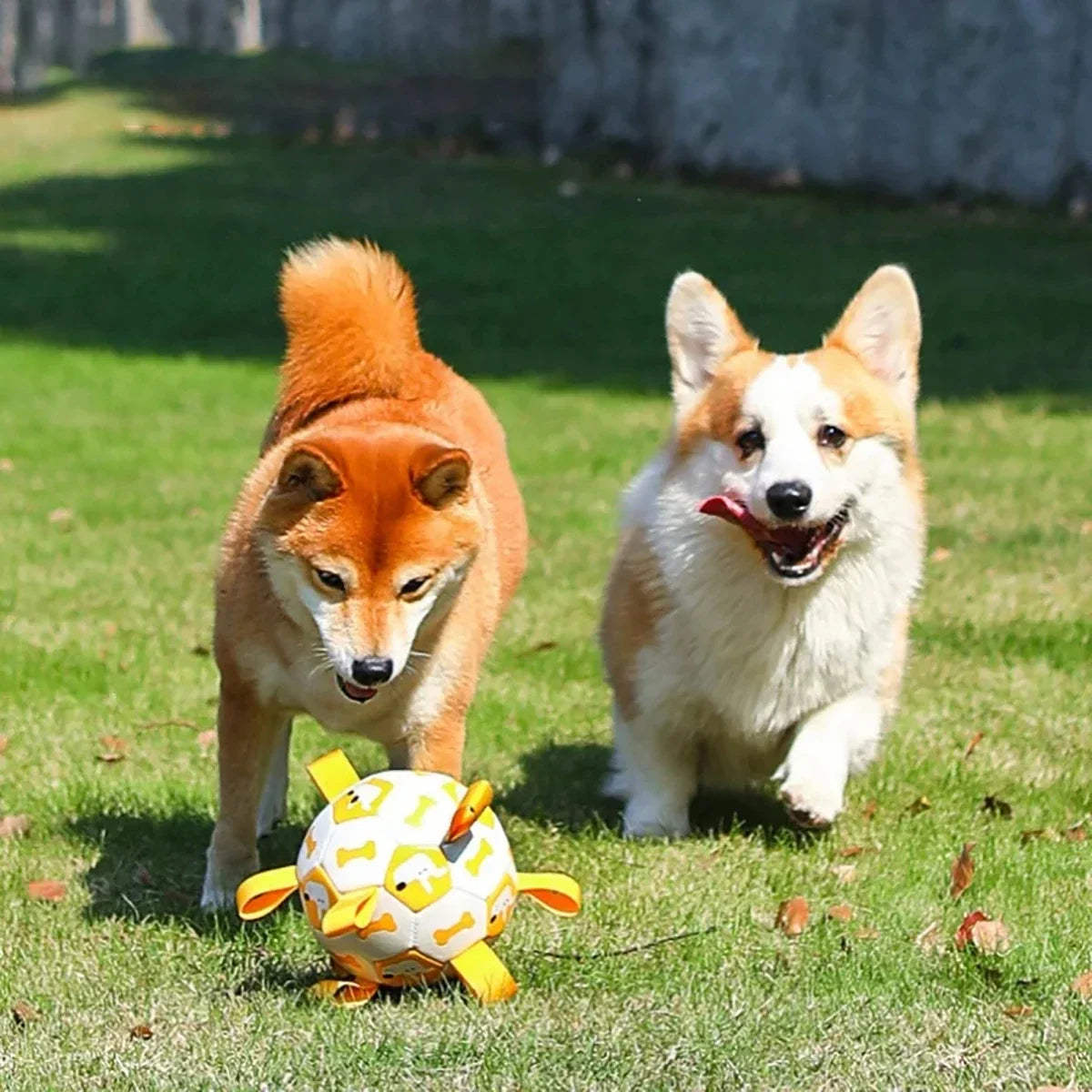 Dog Ball Toy with Integrated Pull Ropes