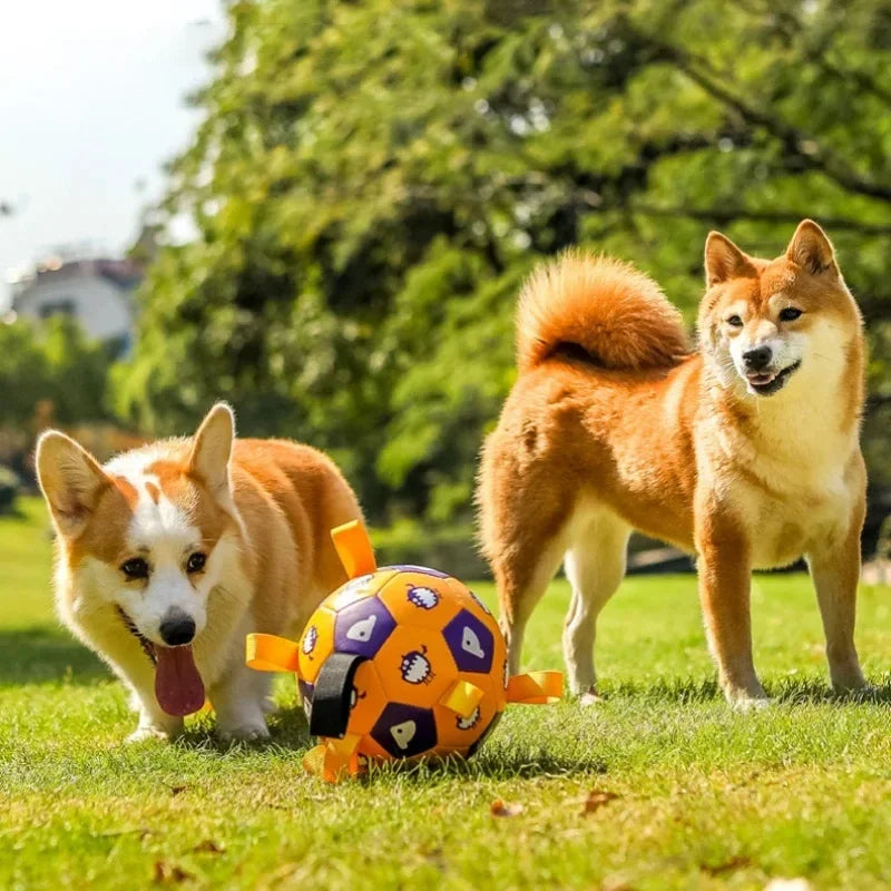 Dog Ball Toy with Integrated Pull Ropes