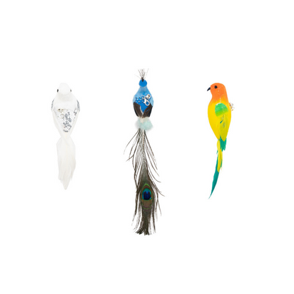 Bird Toy for Cats