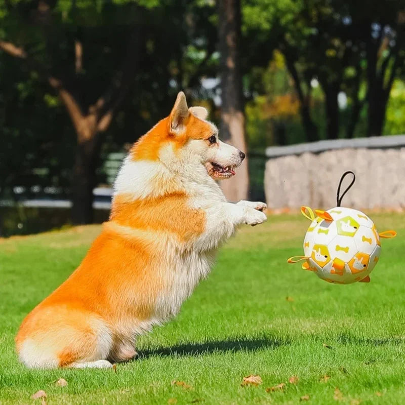 Dog Ball Toy with Integrated Pull Ropes