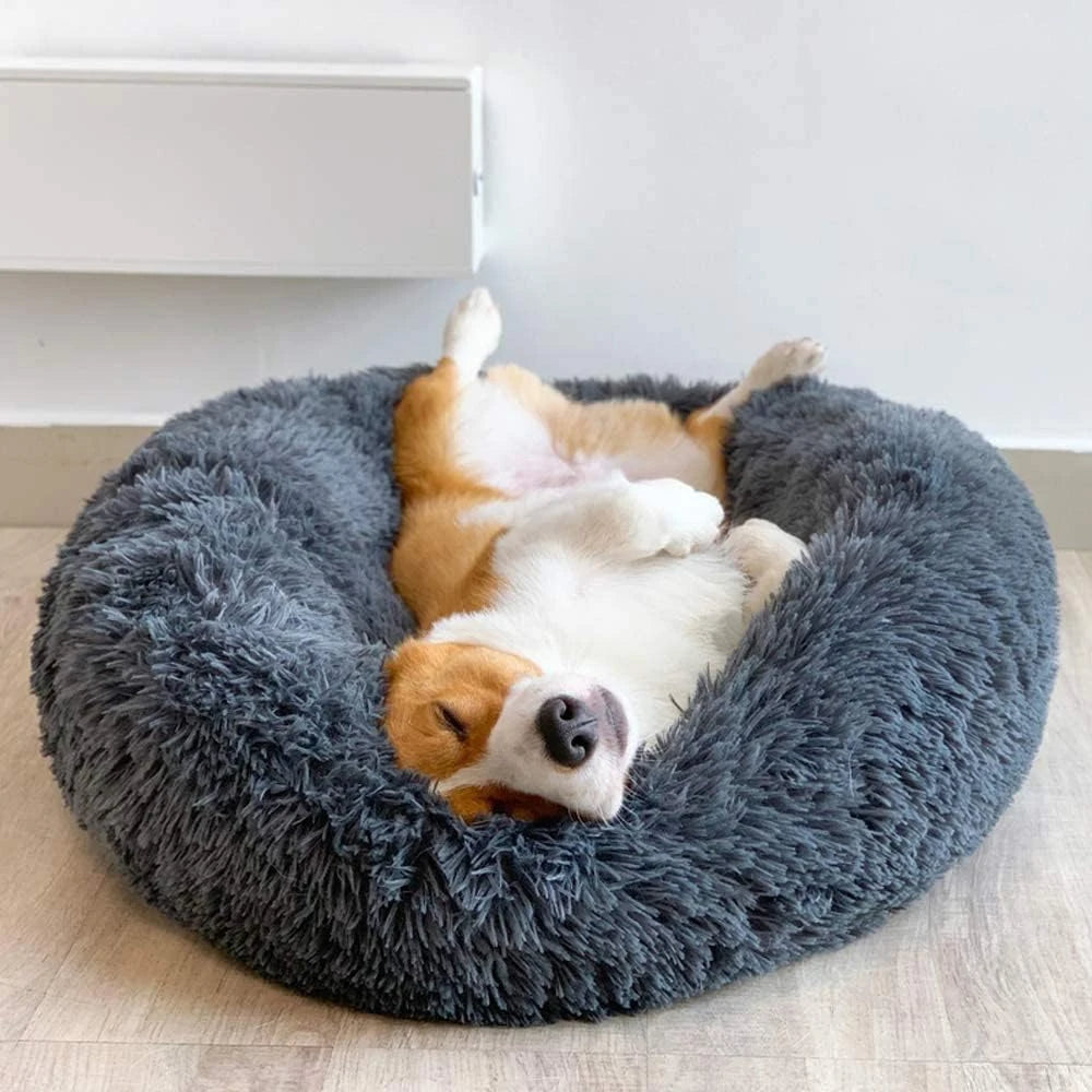 Premium Dog Bed