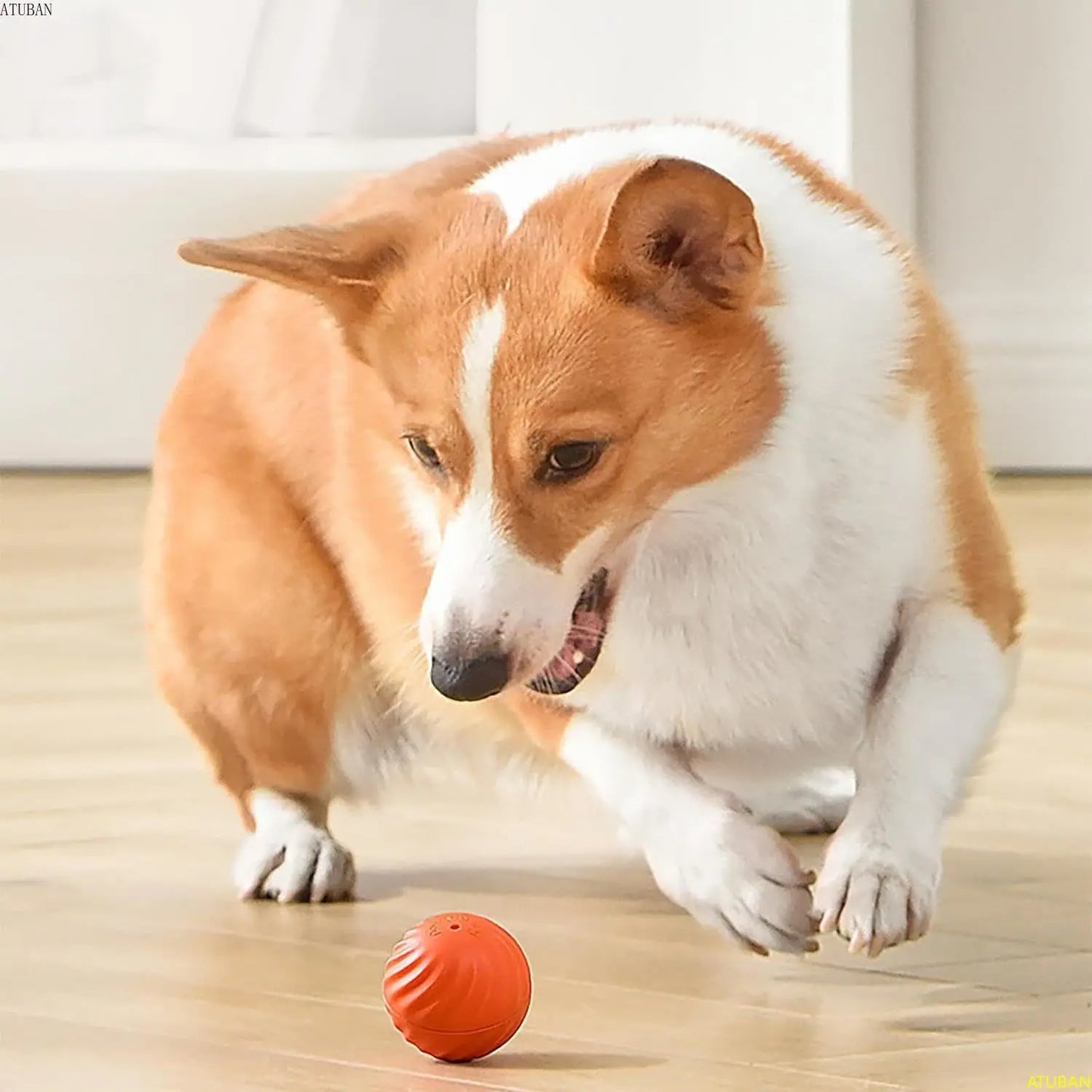 Interactive Jumping Ball for Dogs