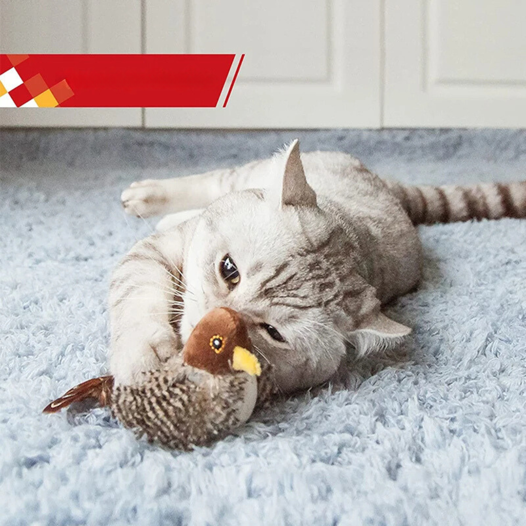 Tweeting Bird Cat Toy