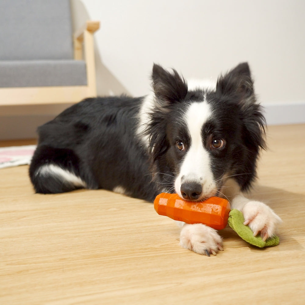 Eco-Friendly Natural Rubber Carrot for Dogs