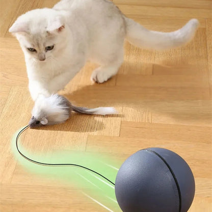 Cat turbo ball with tail toy